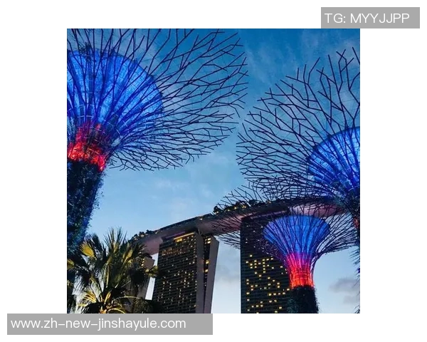 新加坡金沙华人娱乐-新加坡金沙华人娱乐的多元魅力-新加坡金沙华人娱乐